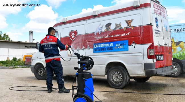 HER ŞEY CAN DOSTLAR İÇİN