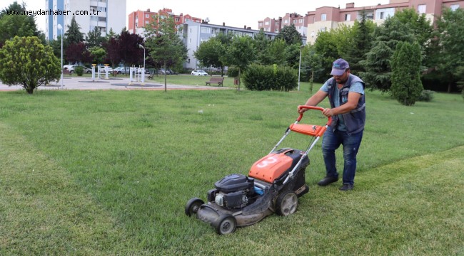 İzmit'te yeşil alanların bakımı aralıksız sürüyor