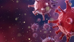 KKTC'de Delta varyantına rastlandı