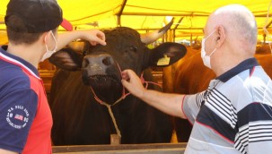 KÜÇÜKÇEKMECE KURBAN SATIŞ ALANI BAYRAMA HAZIR