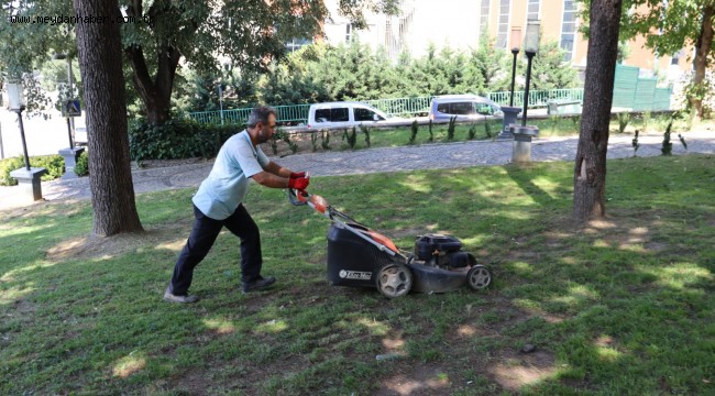 Kültür Tepesi pırıl pırıl oldu