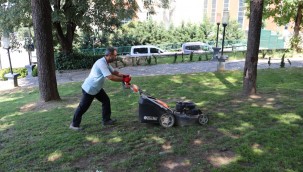 Kültür Tepesi pırıl pırıl oldu