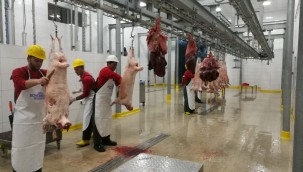 KURBAN KESİMİ VE SATIŞI İÇİN 8 NOKTA BELİRLENDİ