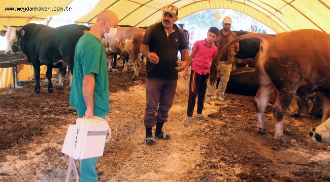 KURBANLIKLARA GEBELİK KONTROLÜ 