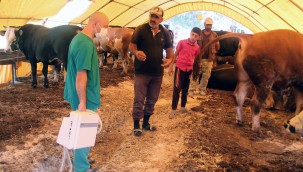 KURBANLIKLARA GEBELİK KONTROLÜ 