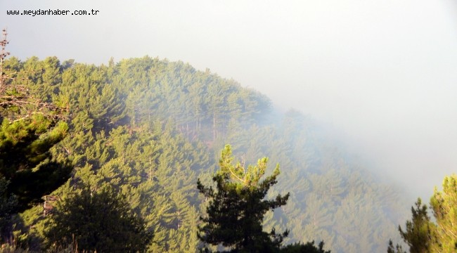 Mersin'deki orman yangınına müdahale sürüyor
