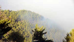 Mersin'deki orman yangınına müdahale sürüyor