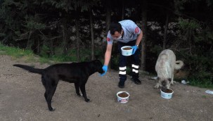 Pandemide can dostlar unutulmadı