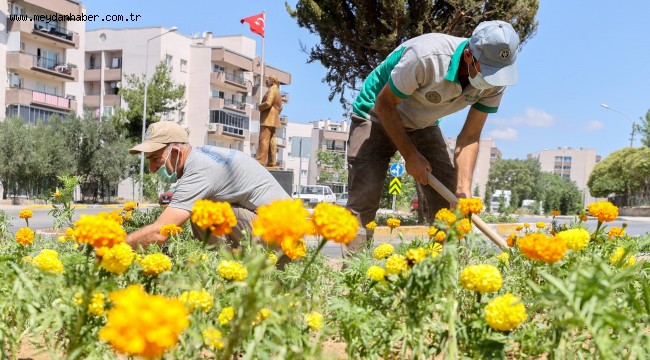 Sokaklarda çiçeklerle renk karnavalı