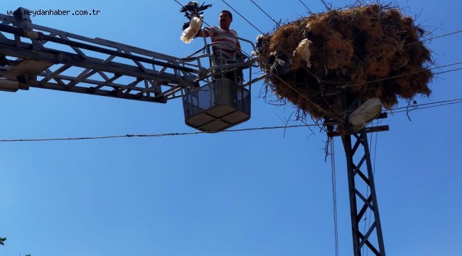 Tellere Takılan Yavru Leylek Kurtarıldı