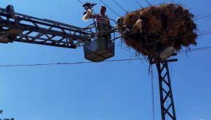 Tellere Takılan Yavru Leylek Kurtarıldı