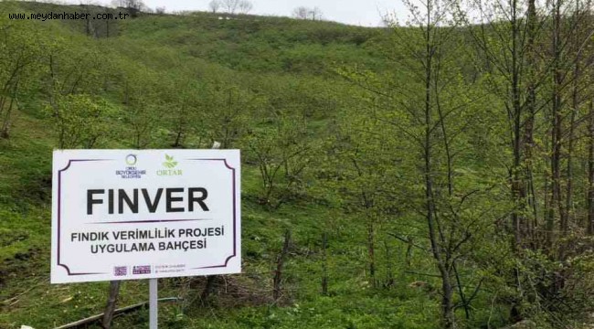 300 DÖNÜM ARAZİDE BAŞLAYAN PROJENİN MAHSÜLLERİ TOPLANIYOR