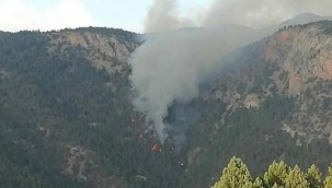 Adana'da dün çıkan yangın kontrol altına alındı