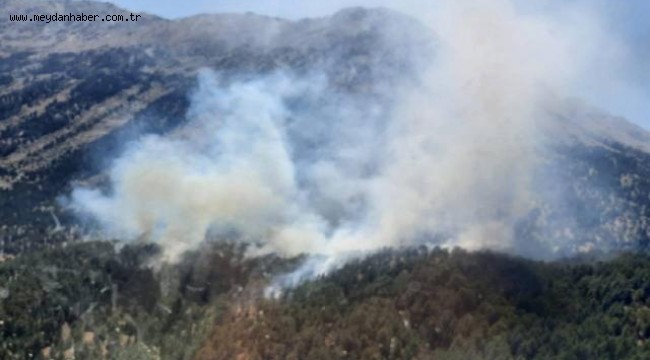 Antalya'da orman yangını