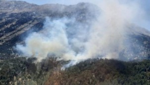 Antalya'da orman yangını