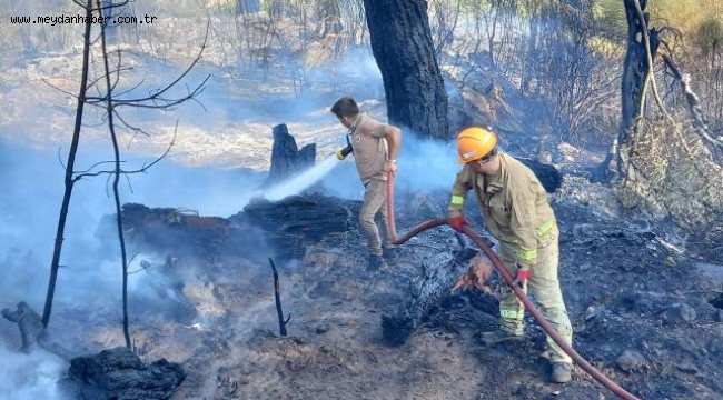 Antalya'da ormanlık alan ve tarım arazilerinde yangın