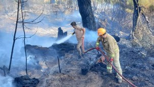 Antalya'da ormanlık alan ve tarım arazilerinde yangın