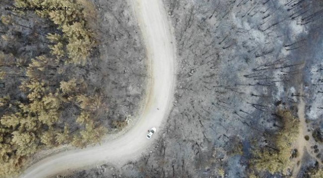 Antalya yangını için tutuklanan zanlının ses kaydı çıktı: Bin liraya anlaştım