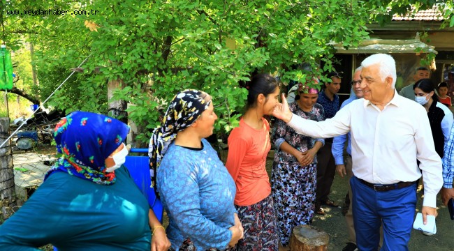 Başkan Gürün, Köyceğiz'de Yangın Bölgelerinde İncelemelerde Bulundu