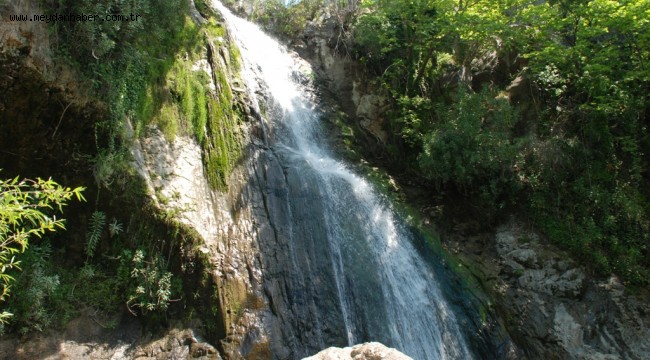 Başkan Soyer: Doğamızı korumak için her alanda mücadele edeceğiz