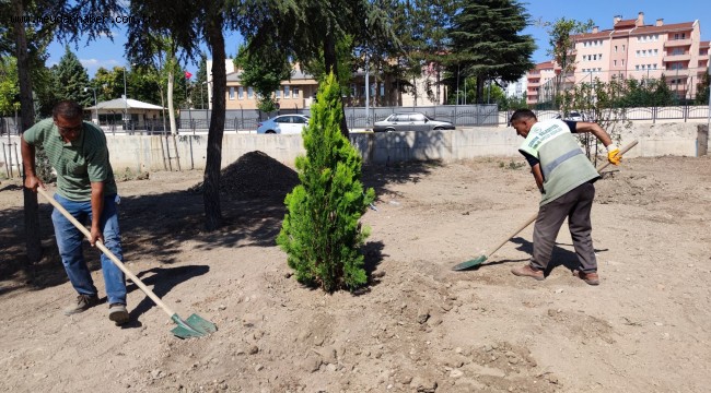 Belediye, Fevziçakmak 3. Caddede 108 ağaç dikti
