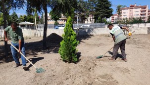 Belediye, Fevziçakmak 3. Caddede 108 ağaç dikti
