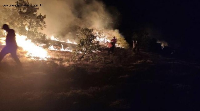 Bingöl'de iki ayrı bölgede orman yangını