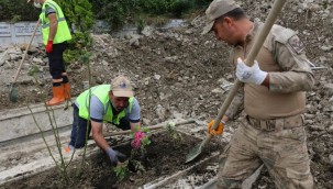 Bozkurt'ta Toprak Altında Kalan Şehitlik, Yeniden Gün Yüzüne Çıkarıldı