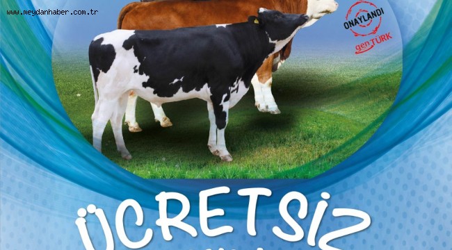 BÜYÜKŞEHİR'DEN BİR DESTEK DE BÜYÜKBAŞ HAYVAN ÜRETİCİLERİNE