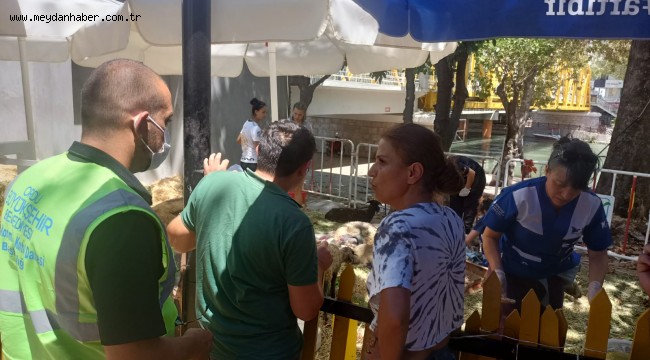 BÜYÜKŞEHİR, MANAVGAT'A ULAŞTI GİDER GİTMEZ MÜDAHALELERE BAŞLANDI