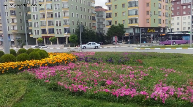 Çiçeklendirme ve çevre düzenleme Çalışmaları Devam Ediyor