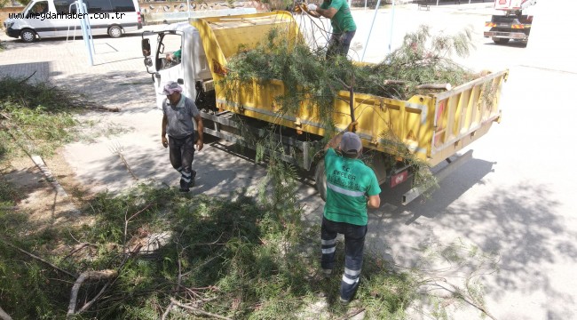 EFELER'İN YEŞİL EKİPLERİ OKULLARI YENİ EĞİTİM DÖNEMİNE HAZIRLIYOR