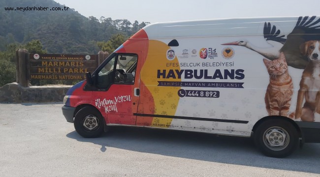 EFES SELÇUK'TAN YANGINLARDA ETKİLENEN CAN DOSTLARINA DESTEK