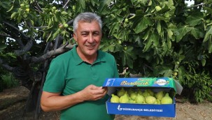 Güzelbahçe Payamlı Bardacık Festivali Başlıyor