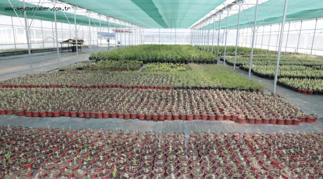 Hürriyet, Yaşam Bahçesi'ndeki  çalışmaları yakından takip ediyor