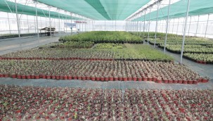 Hürriyet, Yaşam Bahçesi'ndeki  çalışmaları yakından takip ediyor