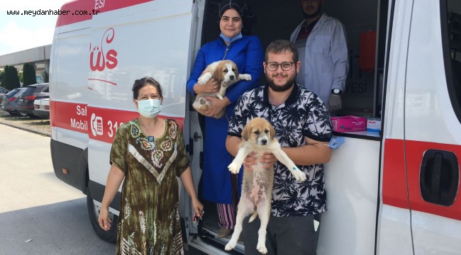 İzmit Belediyesi, can dostlarının  her zaman yanında 