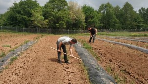 İzmit'in üretim bahçelerinde bakım sürüyor