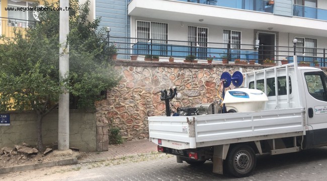 İzmit'te sinekler kaynağında kurutuluyor