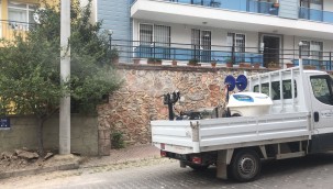 İzmit'te sinekler kaynağında kurutuluyor