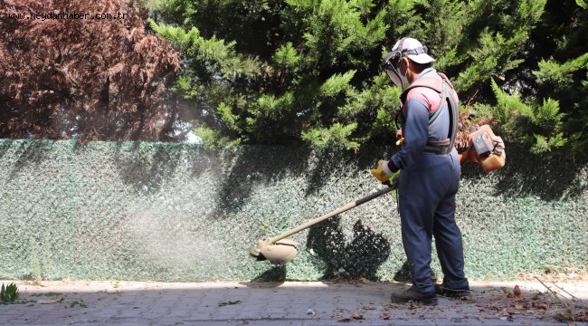 Kartal'da Yabani Otlar Biçilerek Temizlik Çalışmaları Yapılıyor