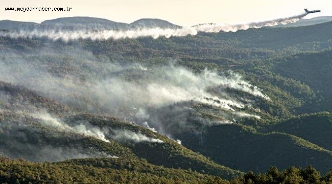 Muğla'nın alevlerle savaşı sürüyor