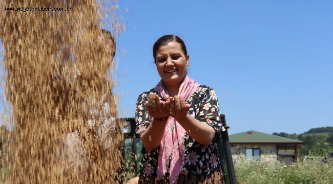 Nusrat buğday tohumu  başvurusu yarın bitiyor