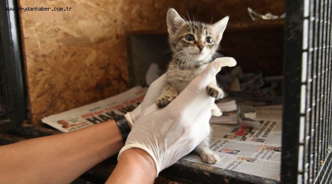 Odunpazarı ile dostlarımız güvence altında