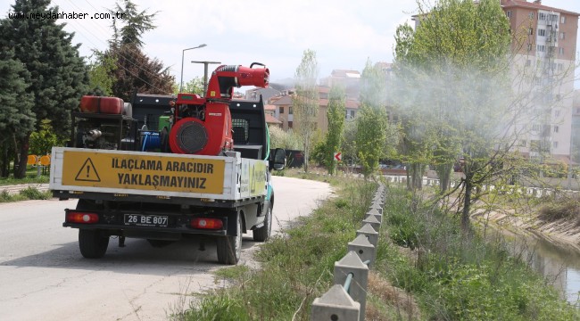 Odunpazarı'nda ilaçlama çalışmaları devam ediyor