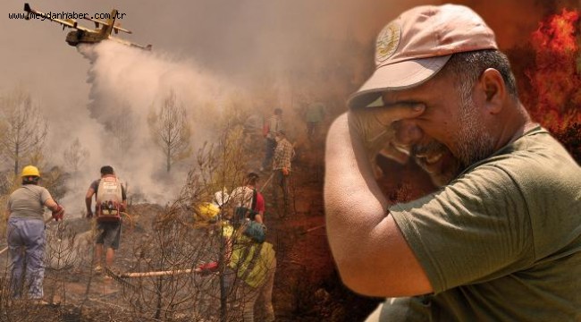 Orman yangınlarıyla mücadele 5 ilde sürüyor