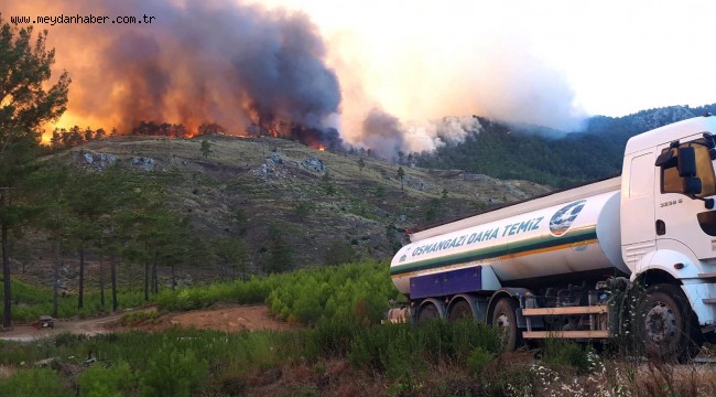 Osmangazi Ekipleri Yangın Bölgesinde Ekipler Yaraları Sarmaya Devam Ediyor