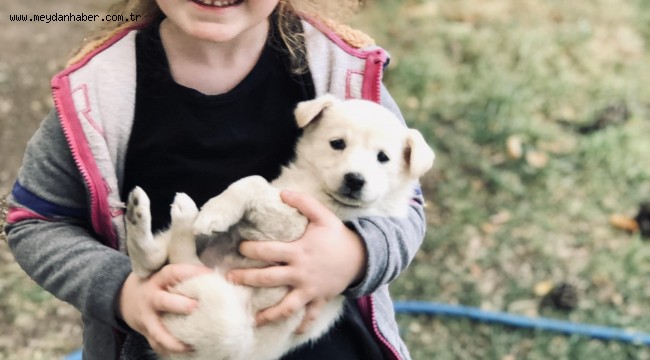 PORTALDA SEVGİ BEKLEYENLER