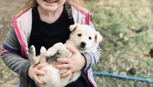 PORTALDA SEVGİ BEKLEYENLER