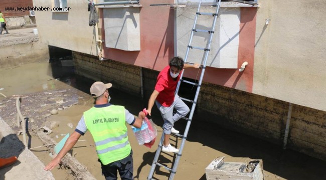 Sahiplerini Kaybeden Kedilere İlkyardım Kartal Belediyesi Ekiplerinden